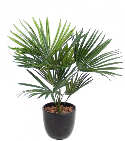 Palmier nain artificiel
