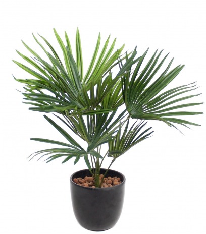 Palmier nain artificiel