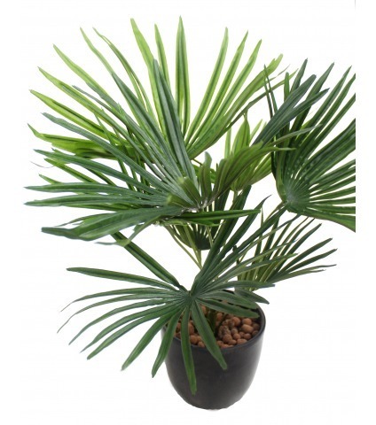 Palmier nain artificiel