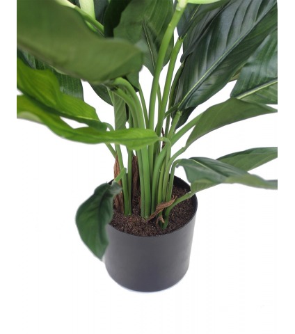 Spathiphyllum artificiel