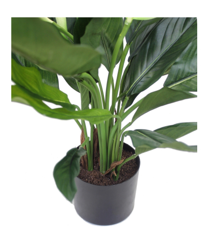 Spathiphyllum artificiel