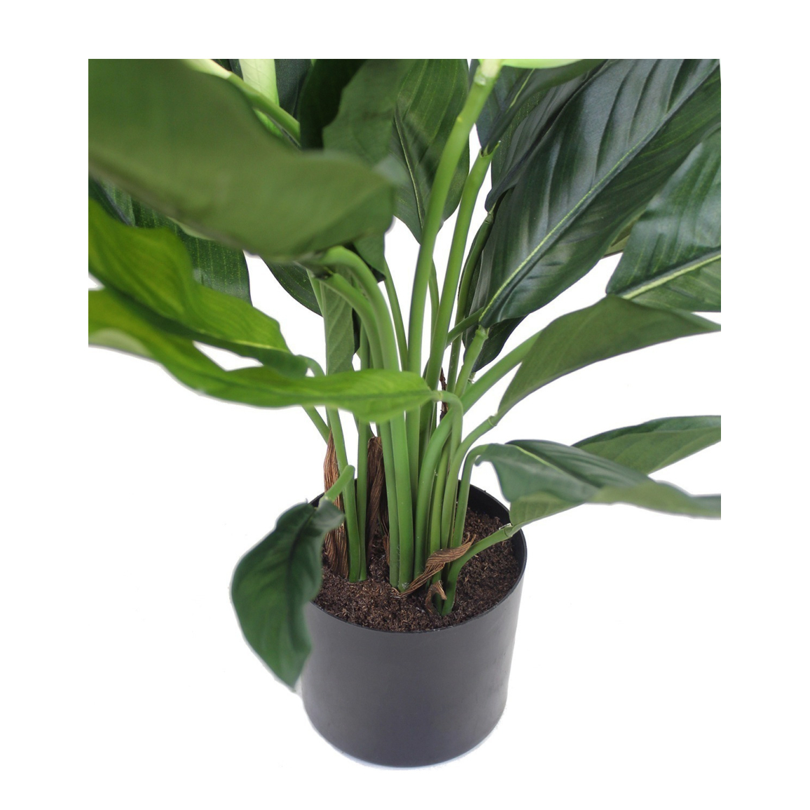 Plantes Vertes Artificielles