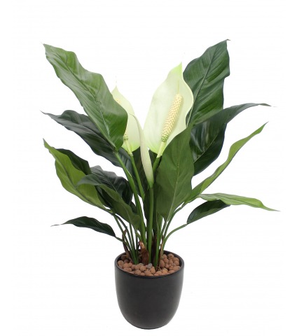 Spathiphyllum artificiel