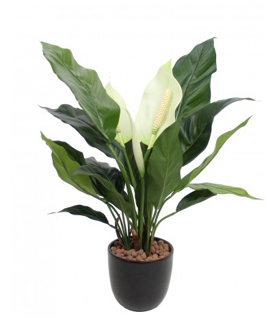 Spathiphyllum artificiel