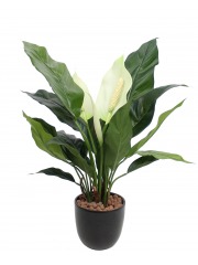 Spathiphyllum artificiel