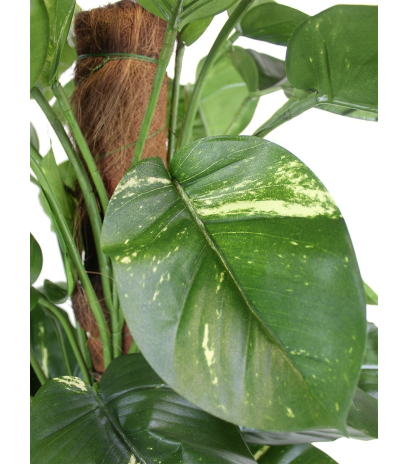Scindapsus artificiel
