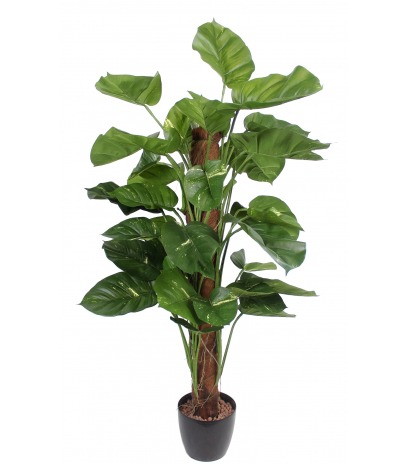 Scindapsus artificiel