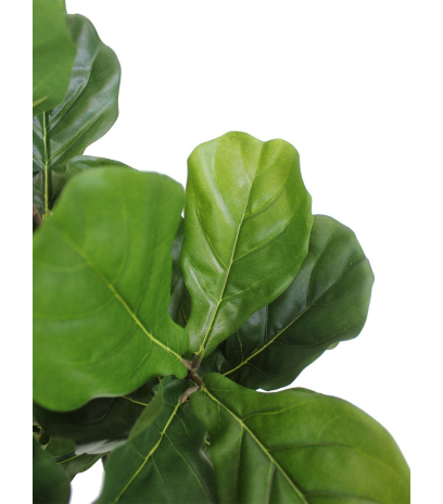 Buisson de lyrata artificiel