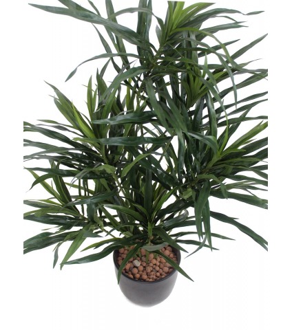 Dracaena artificiel anita