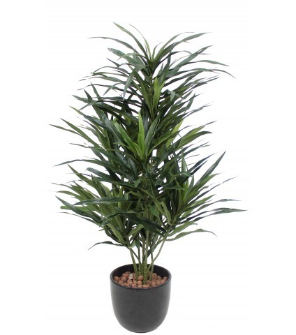Dracaena artificiel anita