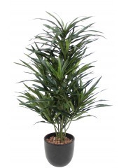 Dracaena artificiel anita