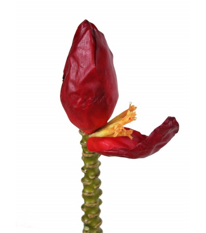 Grande fleur de bananier artificielle