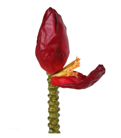 Grande fleur de bananier artificielle