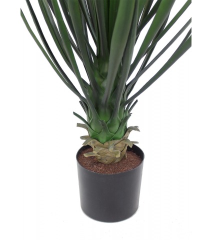 Yucca rostrata artificiel