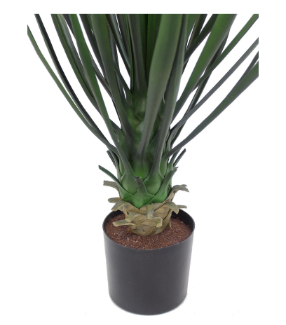 Yucca rostrata artificiel