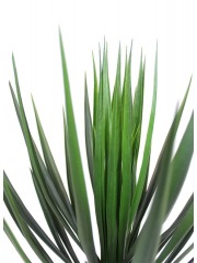 Yucca rostrata artificiel