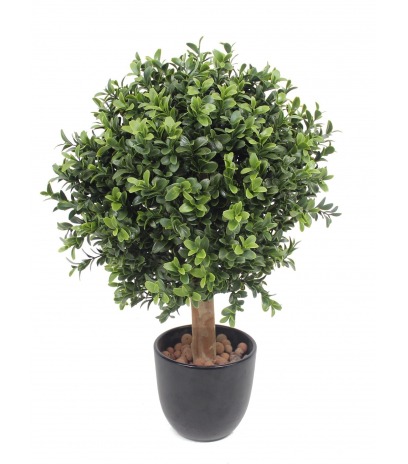 Boule de buis extérieur