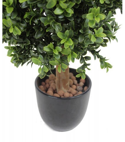 Boule de buis extérieur