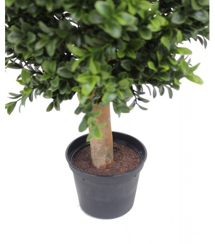 Boule de buis extérieur