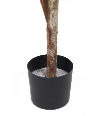 Olivier boule artificiel