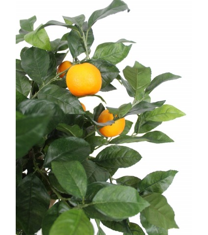 Oranger artificiel tête feuillue