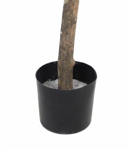 Oranger artificiel tête feuillue