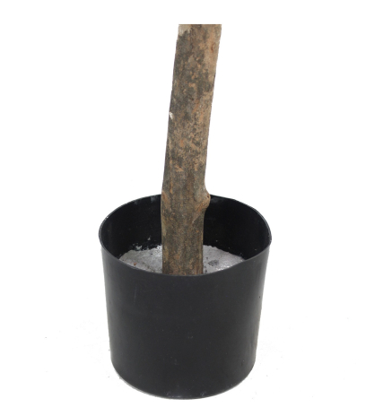 Oranger artificiel tête feuillue