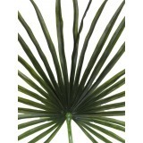 Feuille de palmier chanvre artificielle