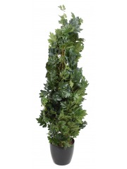 Cissus artificiel