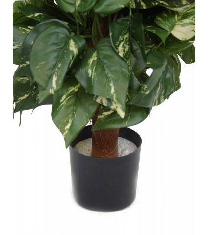 Pothos artificiel tuteur coco