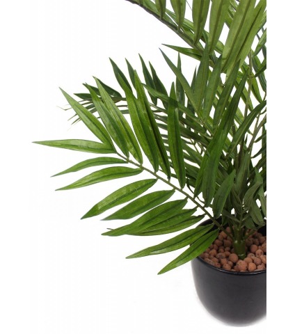 Chamaedorea radicalis artificiel