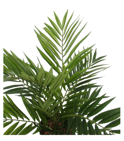 Chamaedorea radicalis artificiel