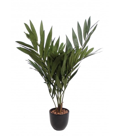 Petit palmier parlour