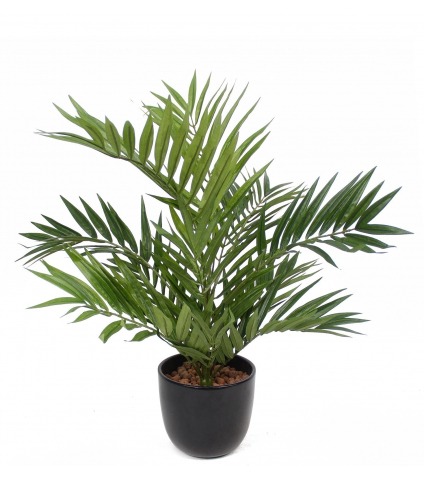 Chamaedorea radicalis artificiel