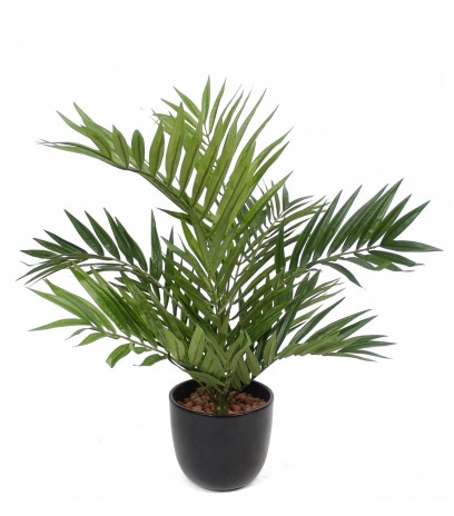 Chamaedorea radicalis artificiel