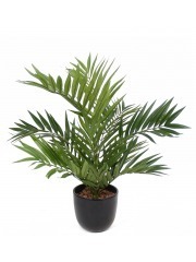 Chamaedorea radicalis artificiel