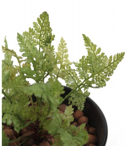Mini fougère artificielle