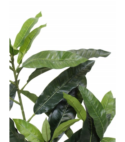 Feuille de manguier artificielle