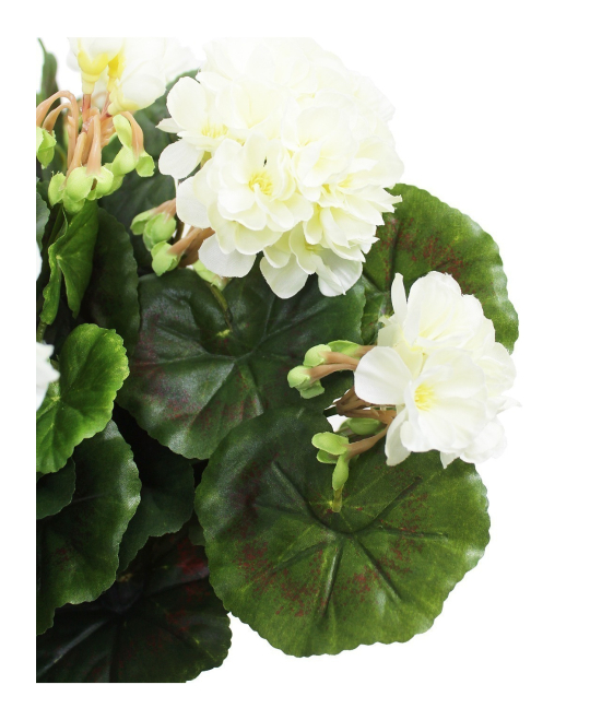 Cyclamens En Pot - Lot De 4 Plantes Fleuries - Intérieur & Extérieur - Kentis