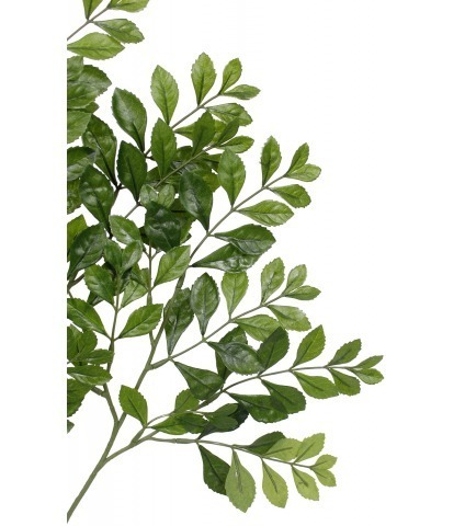 Feuille d'acacia artificielle