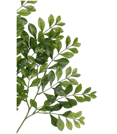 Feuille d'acacia artificielle