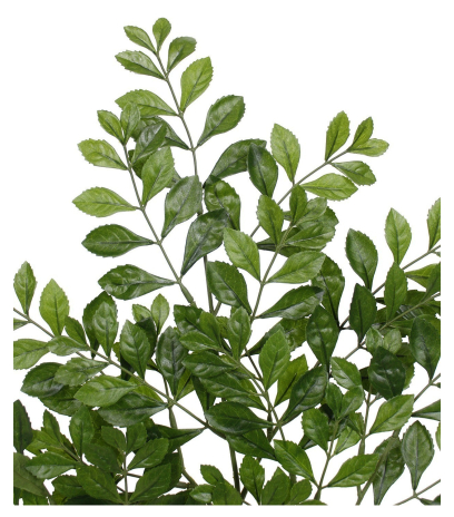 Feuille d'acacia artificielle