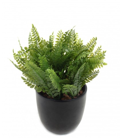 Fougère artificielle de la forêt