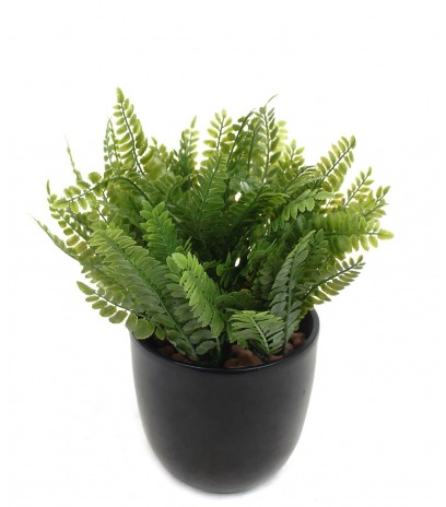 Fougère artificielle de la forêt