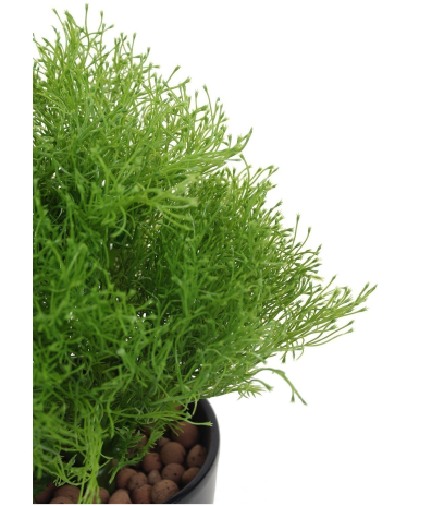 Gypsophile artificielle buisson