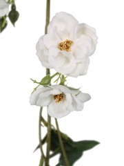 Fausse guirlande de roses blanches