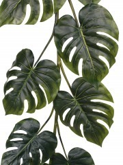 Guirlande de feuilles de philodendron artificielles l 185cm - RETIF