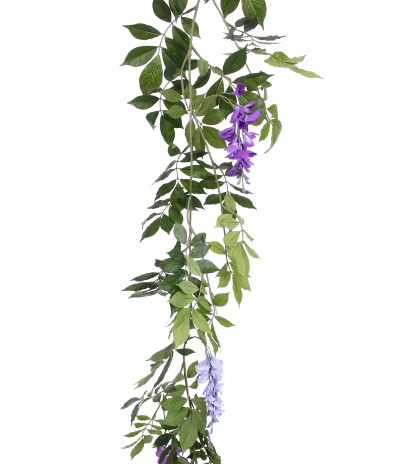 Guirlande de glycine violette