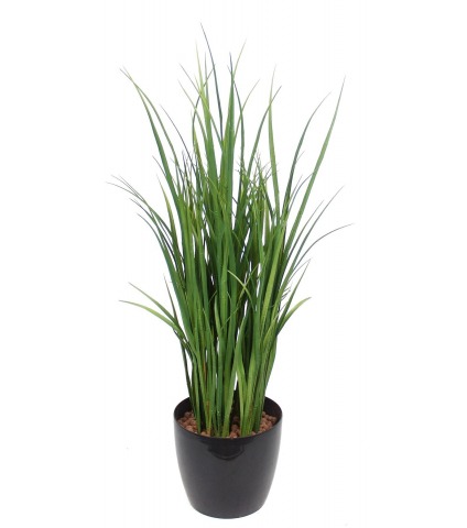 Citronnelle artificielle