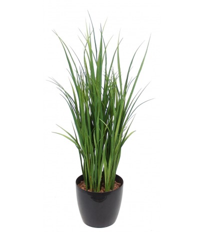 Citronnelle artificielle